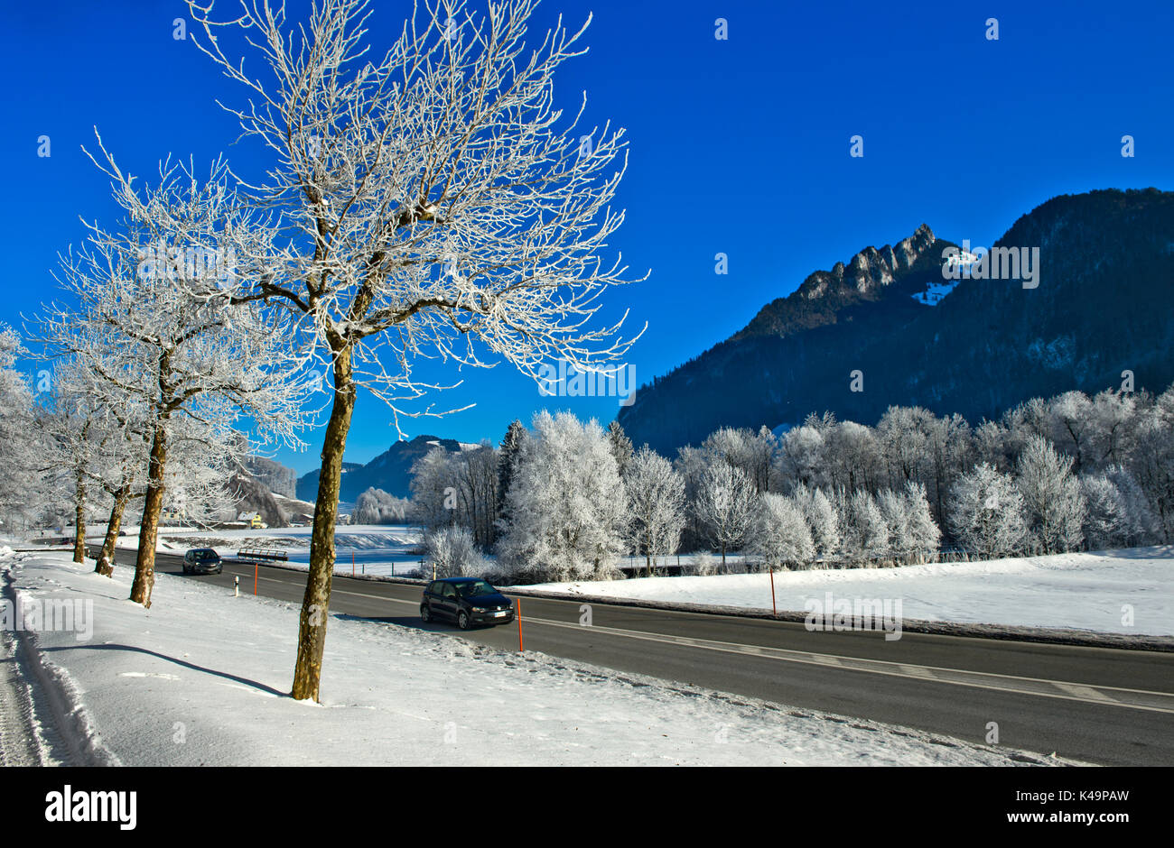 Frosty Trees Alonga Country Road In The Sarine Valley In The La Gruyere Region, Gruyeres, Switzerland Stock Photo