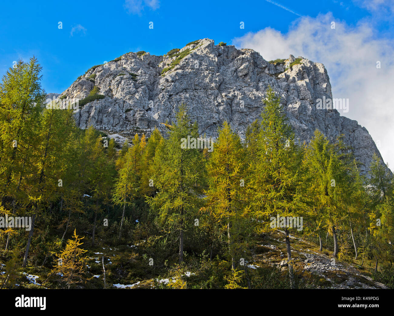 Peaks Rotwandspitzen, Sesto, Sexten Dolomites, South Tyrol, Trentino-Alto Adige, Italy Stock Photo