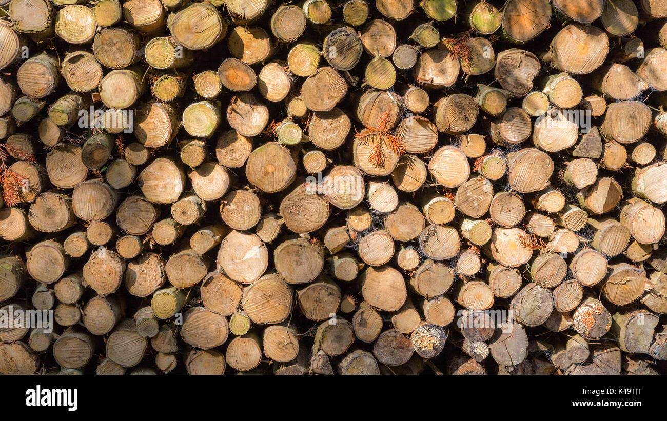 Seasoned firewood hires stock photography and images Alamy