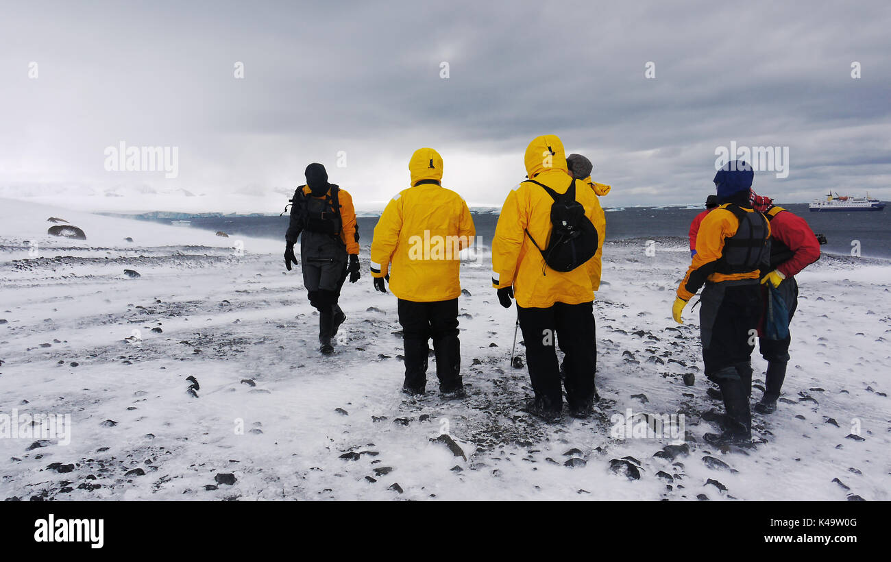 Small group of adventure travelers stand on Brown Bluff on the continent of Antarctica on a cold windy day with an expedition ship in the background. Stock Photo