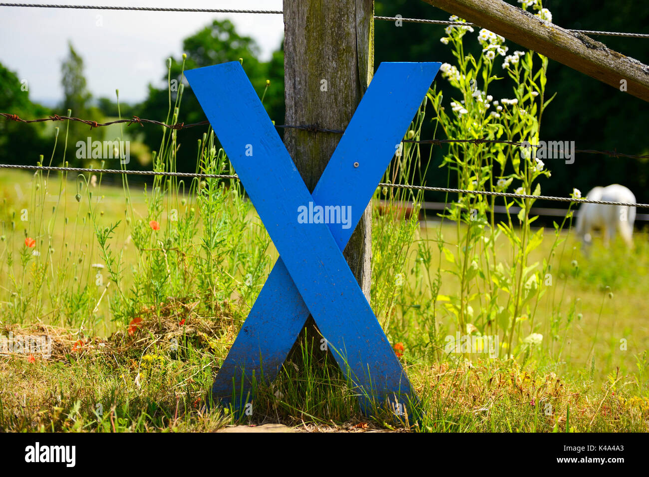 Wooden Blue Cross, Sign Of Protest Against The Fehmarnbelt Tunnel In Germany Stock Photo