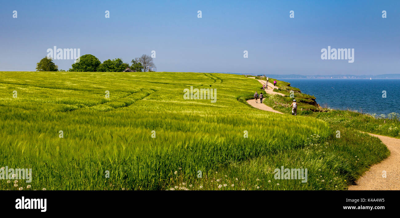 Brodtener Steilküste Stock Photo