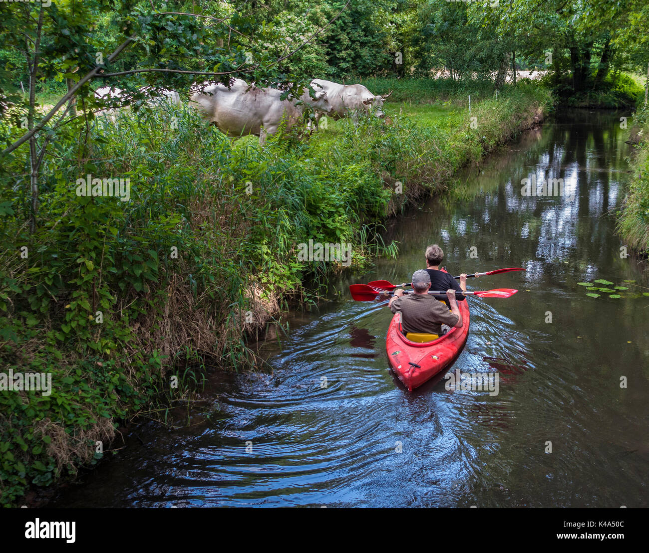 Paddelboot canoe hires stock photography and images Alamy