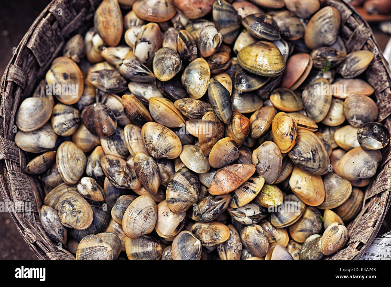 Fresh Mussels seafood Stock Photo Alamy
