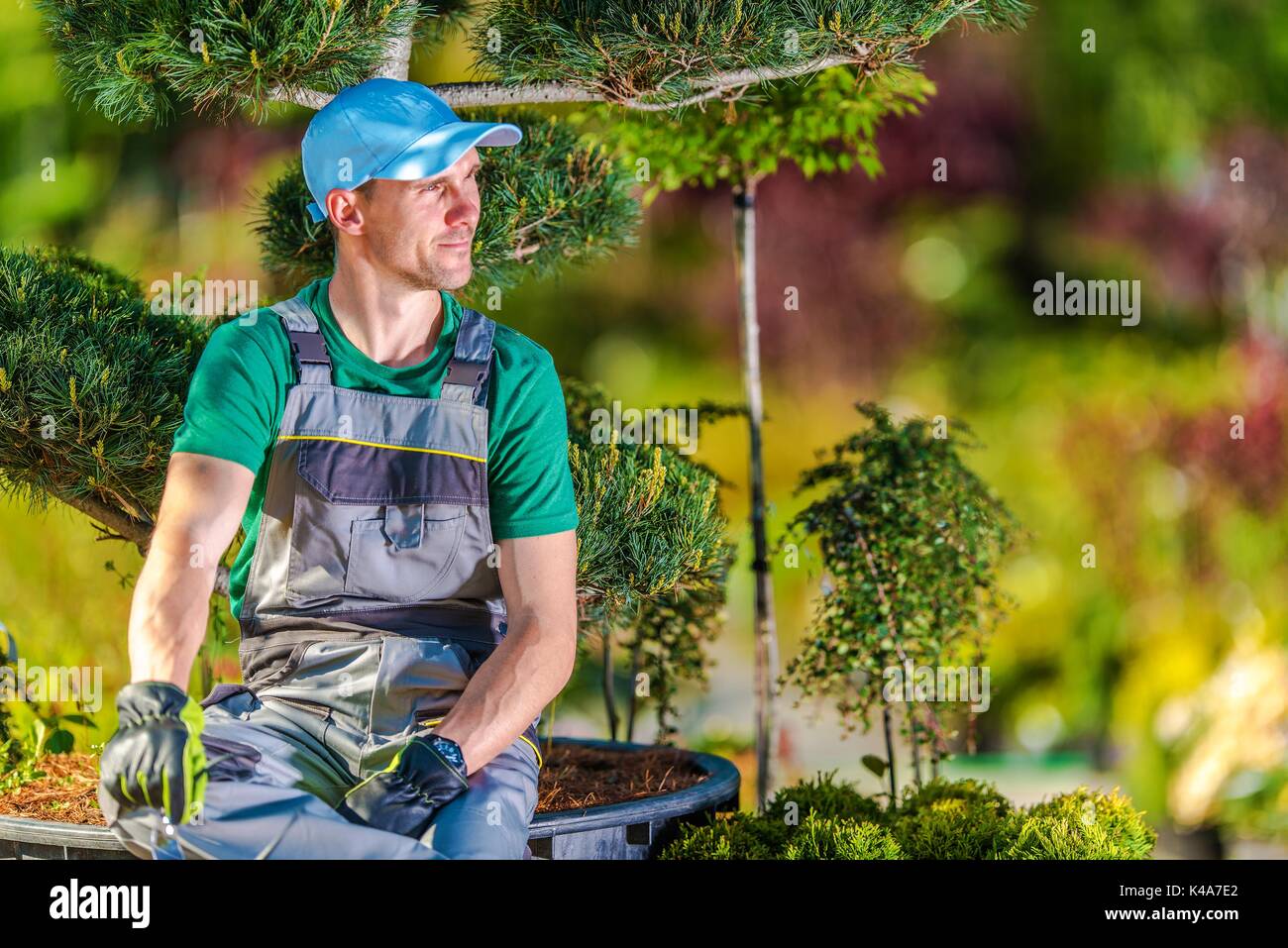 Tree service professional hi-res stock photography and images - Alamy