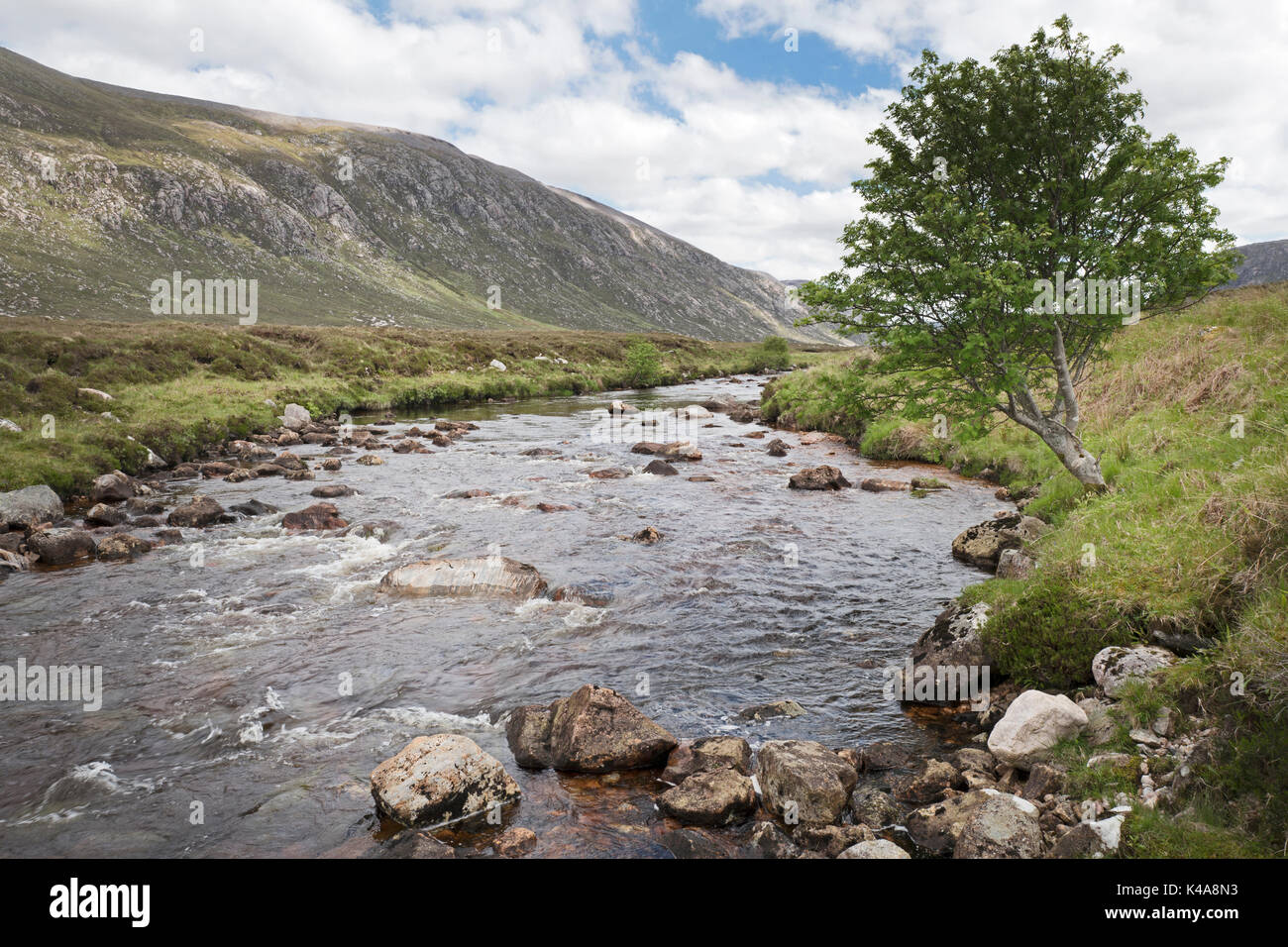 Dionard River running through Strath Dionard a Salmon and Sea Trout river on the Gualin Estate, Sutherland Scotland June Stock Photo
