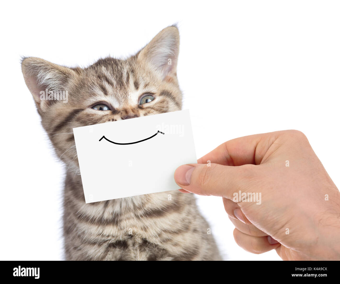 Smile cat animal hi-res stock photography and images - Alamy