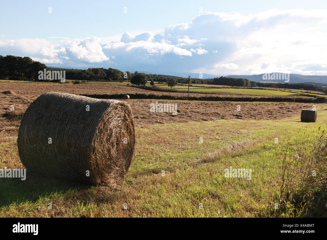 A bale of hay in the fertile agricultural land of Aberdeenshire with cut grass still lying on the field Stock Photo
