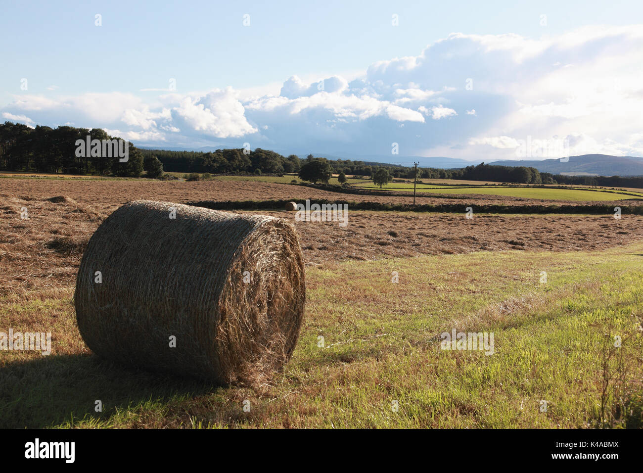 A bale of hay in the fertile agricultural land of Aberdeenshire with cut grass still lying on the field Stock Photo