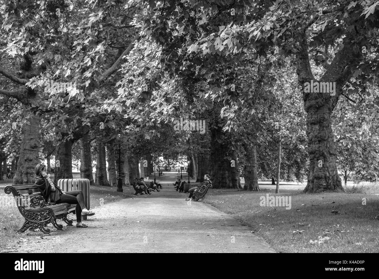 Green park london bench Black and White Stock Photos & Images - Alamy