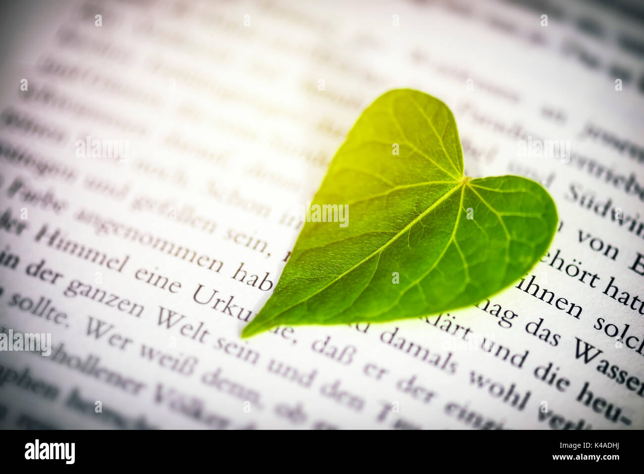 Heart-Shaped Leaf In A Book Stock Photo - Alamy