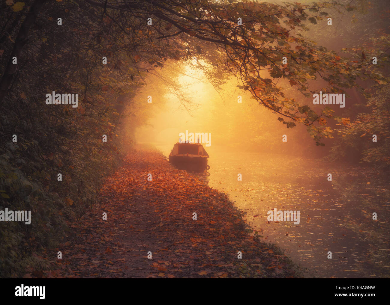 Autumn on the Grand Union Canal in Birmingham, UK with a boat framed by branches at sunrise Stock Photo
