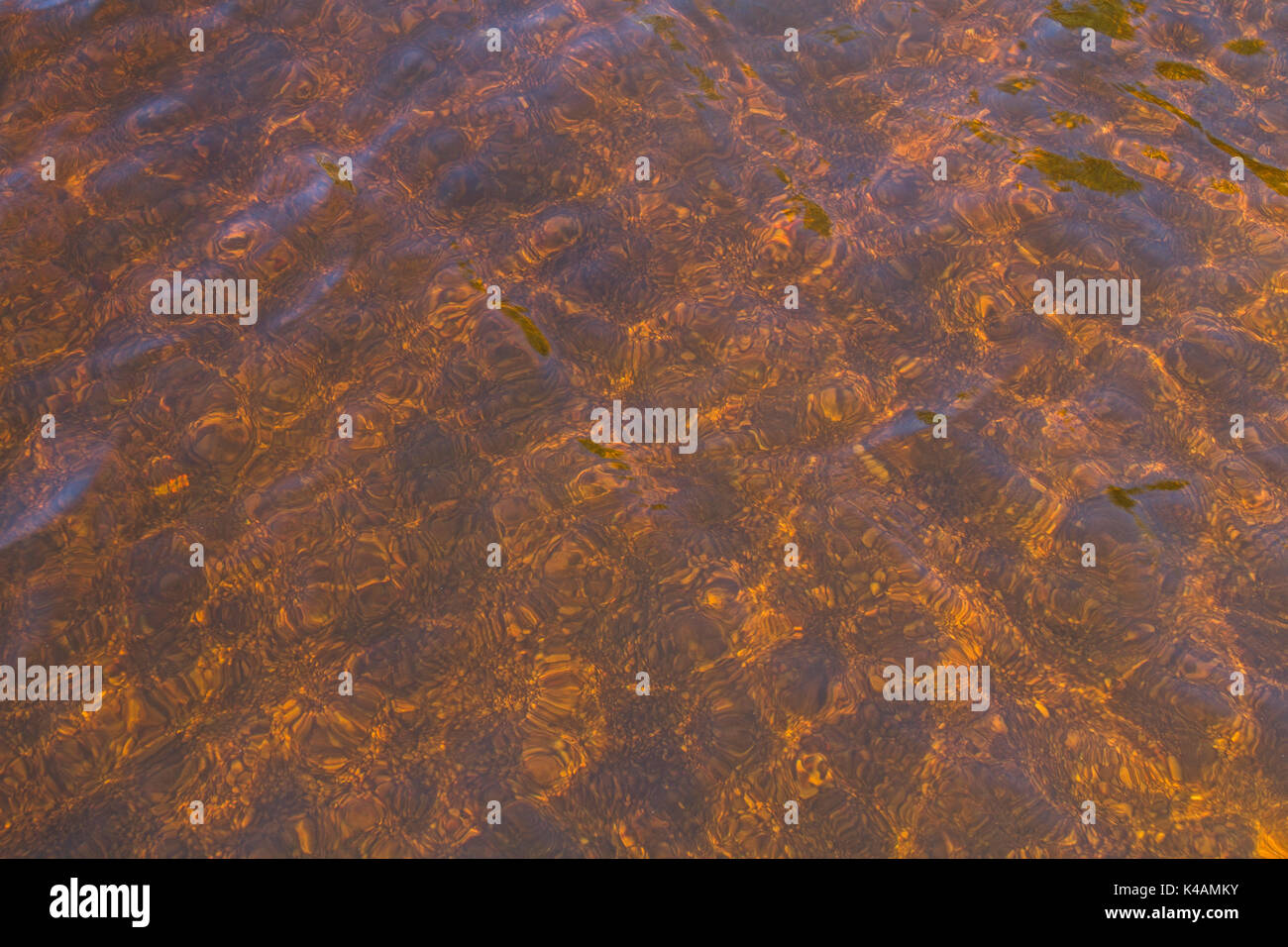 Formatfüllende Aufnahme Eines Moorgewässers Stock Photo
