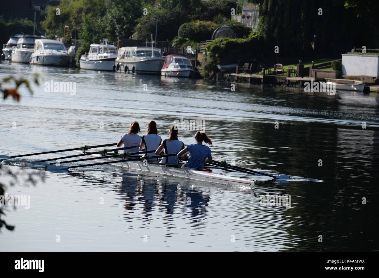 lady rowers on thames Stock Photo Alamy