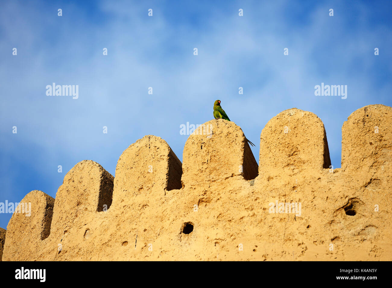 Musandam sultanate of oman hi-res stock photography and images - Alamy