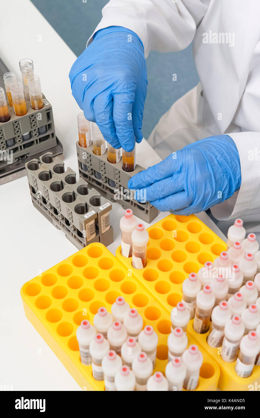 Preparation of blood samples for examination in the fully automatic