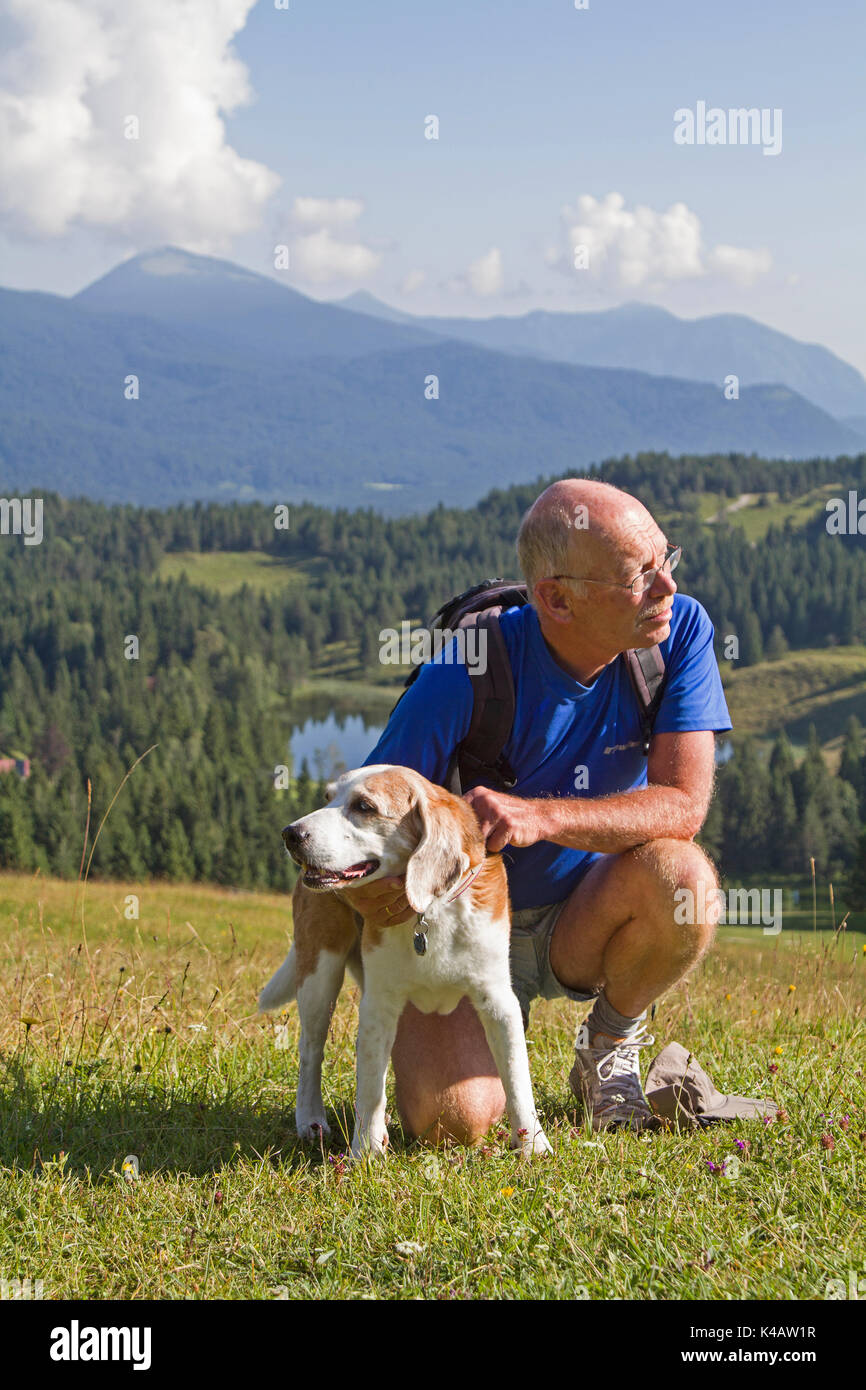 Beagle And Man On A Mountain Meadow In Mountains Stock Photo