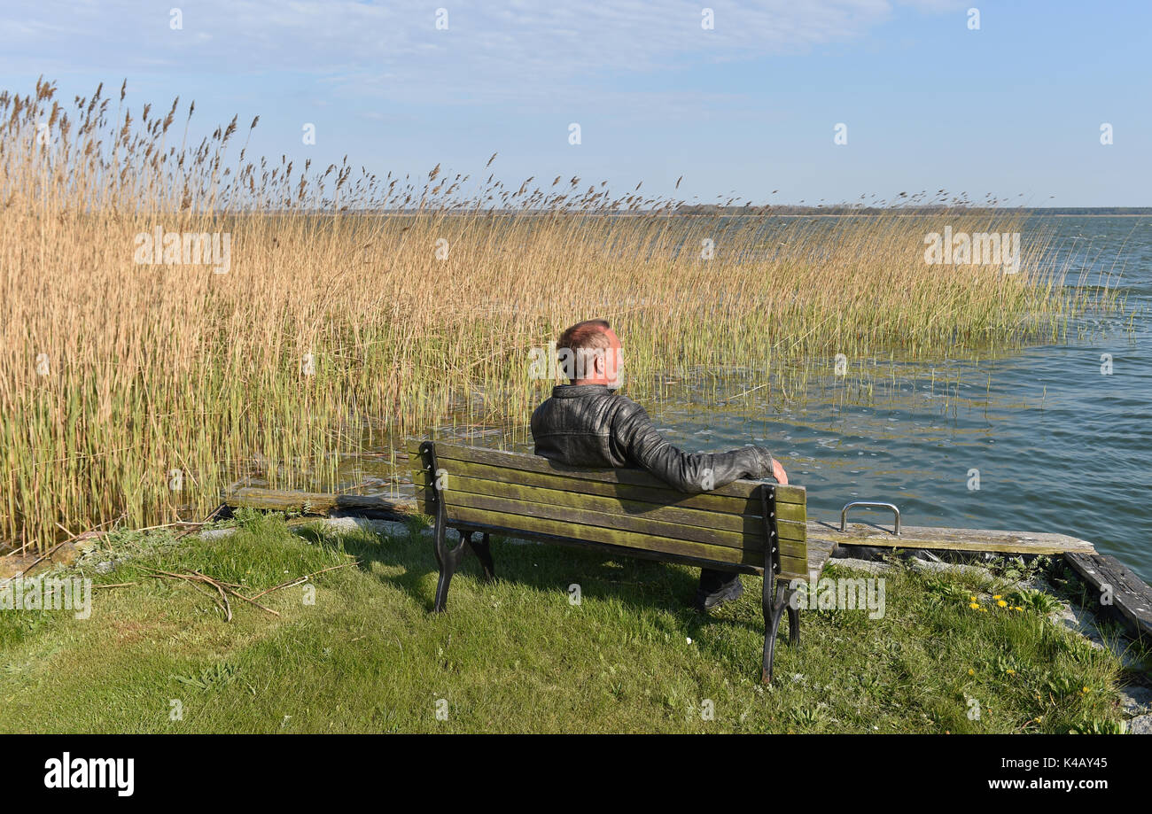 Man Sitting On A Bench Stock Photo