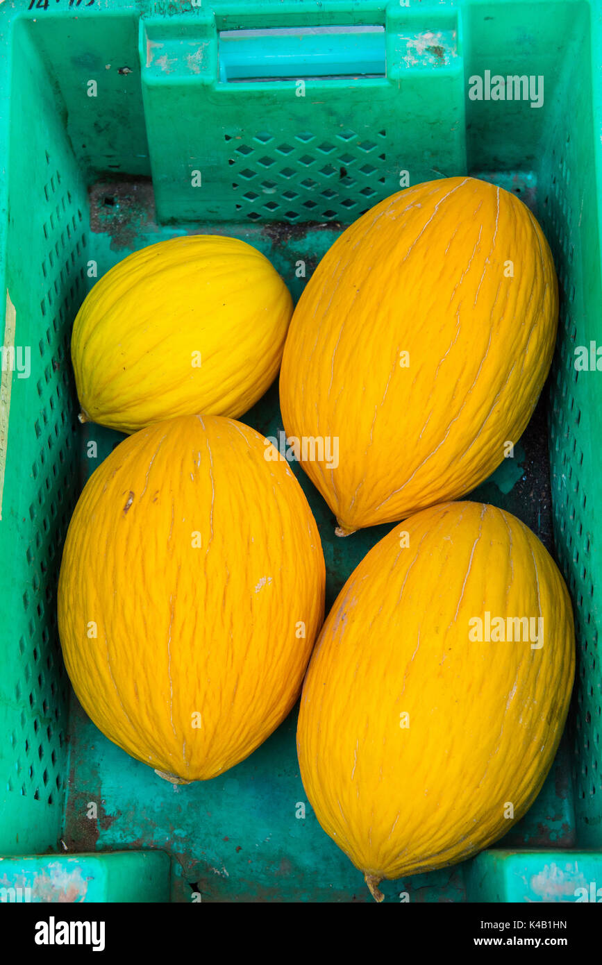 Yellow melons in a green plastic basket Stock Photo