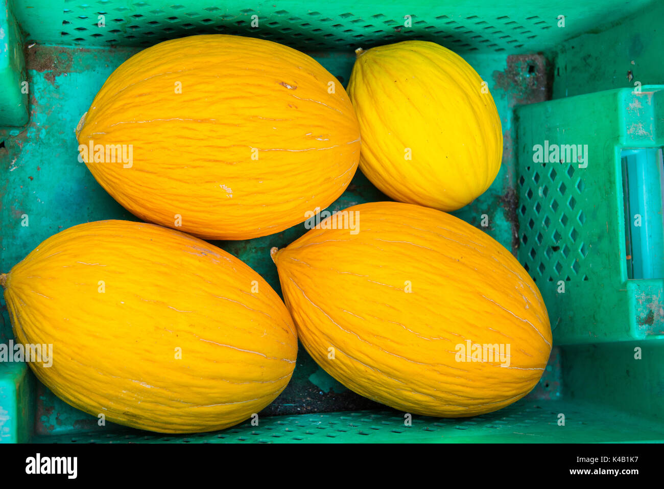 Yellow melons in a green plastic basket Stock Photo