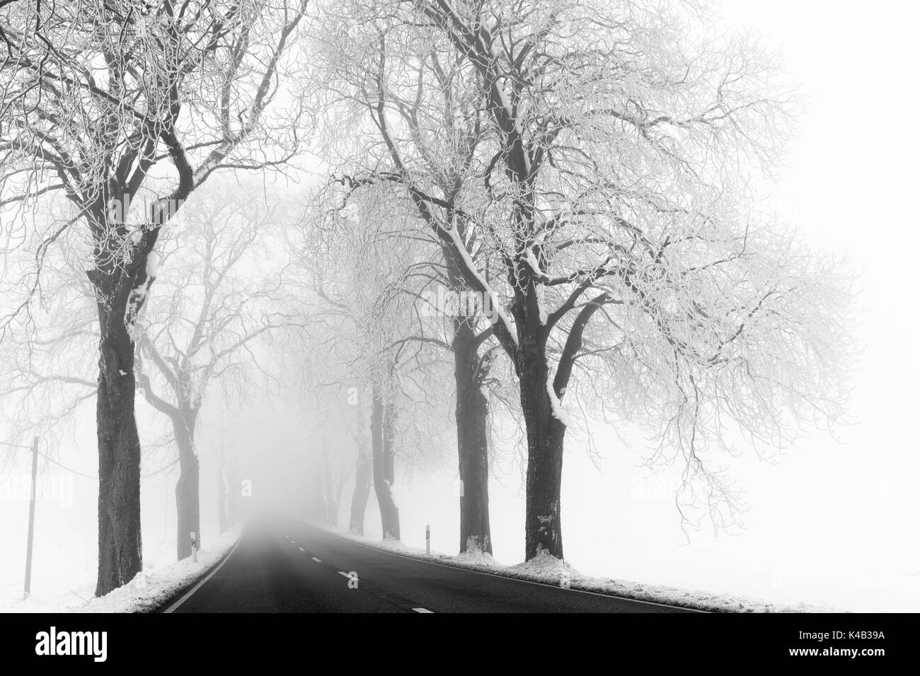 Alley In Wintertime With Fog In Black And White Stock Photo