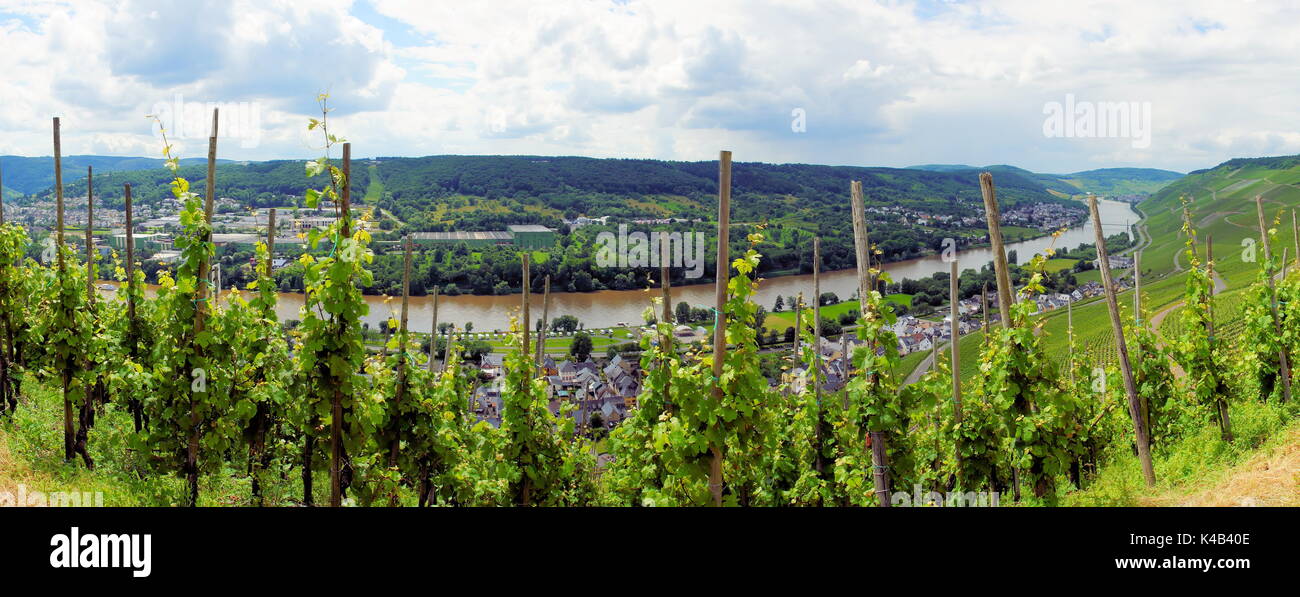 Bernkastel Kues Wehlen