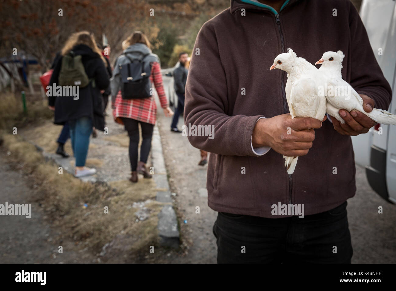 Armenian pigeon seller at the monastery 'Khor Virap' in front of Mount Ararat in Armenia. Stock Photo