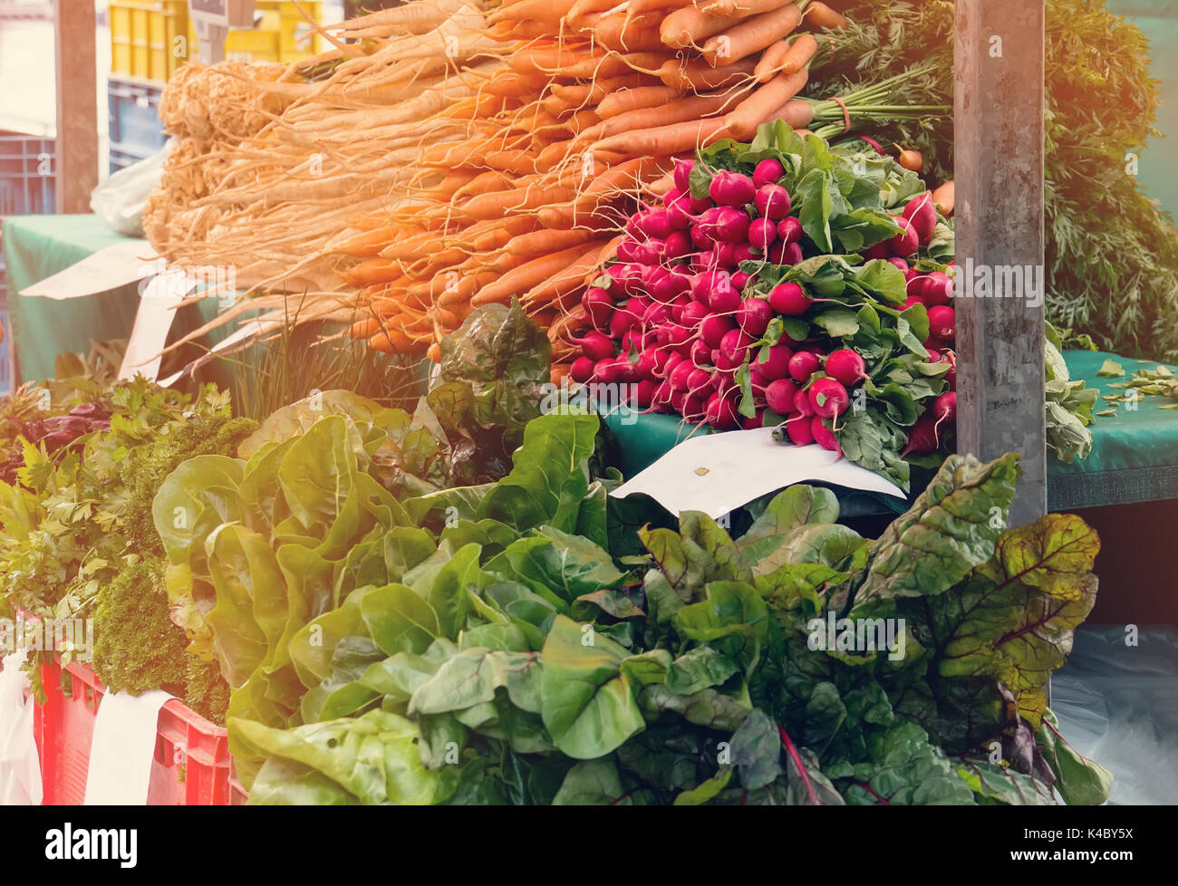 Fresh vegetables - carrots, radishes, lettuce, sell at a farmers market in autumn Sunny day with other vegetables. Harvest farm crops. Stock Photo