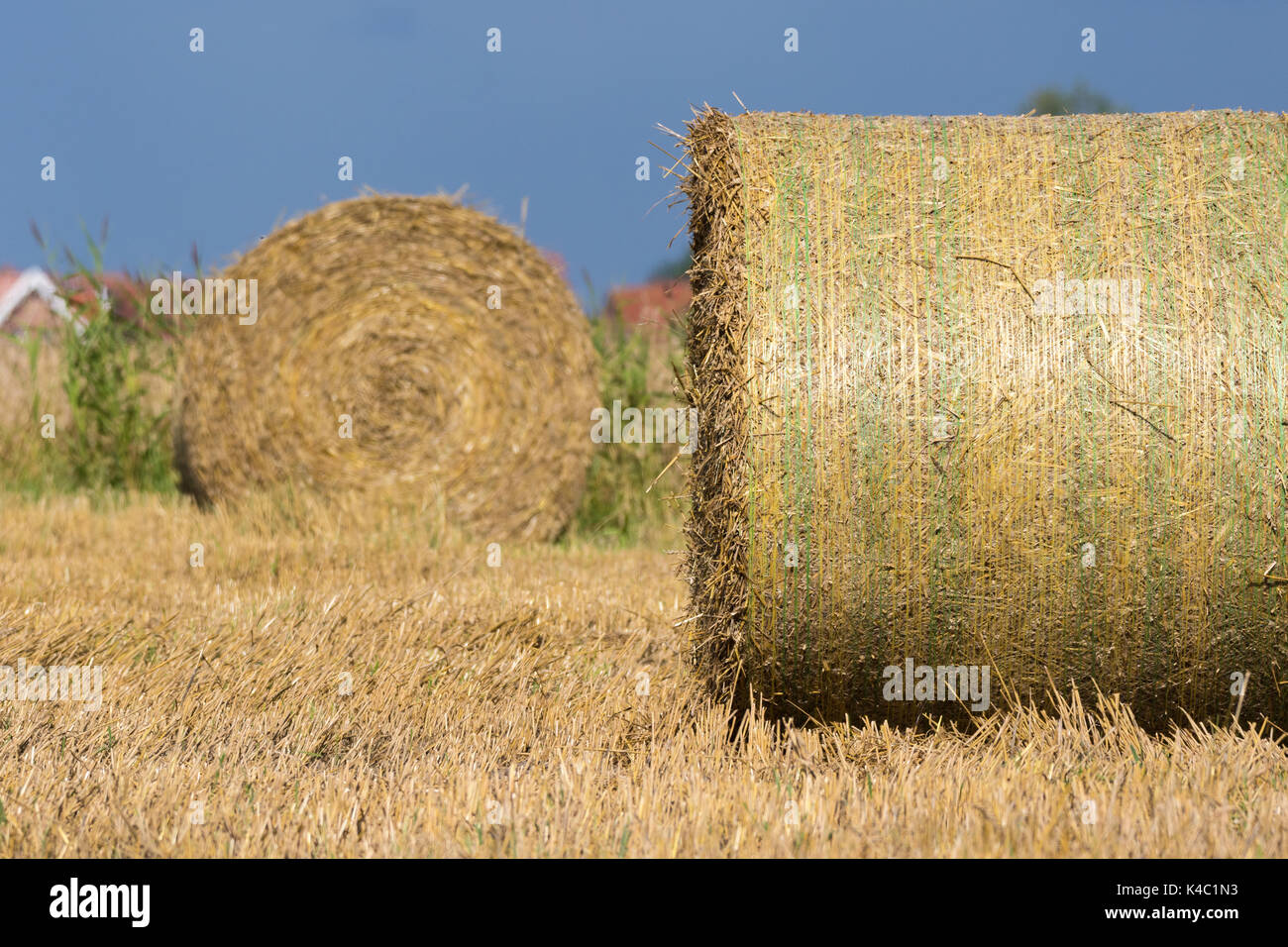Field Stubble With Straw Bales Stock Photo - Alamy