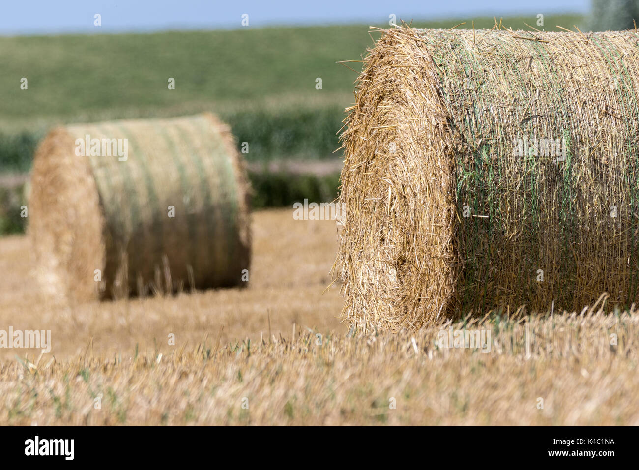 Field Stubble With Straw Bales Stock Photo - Alamy
