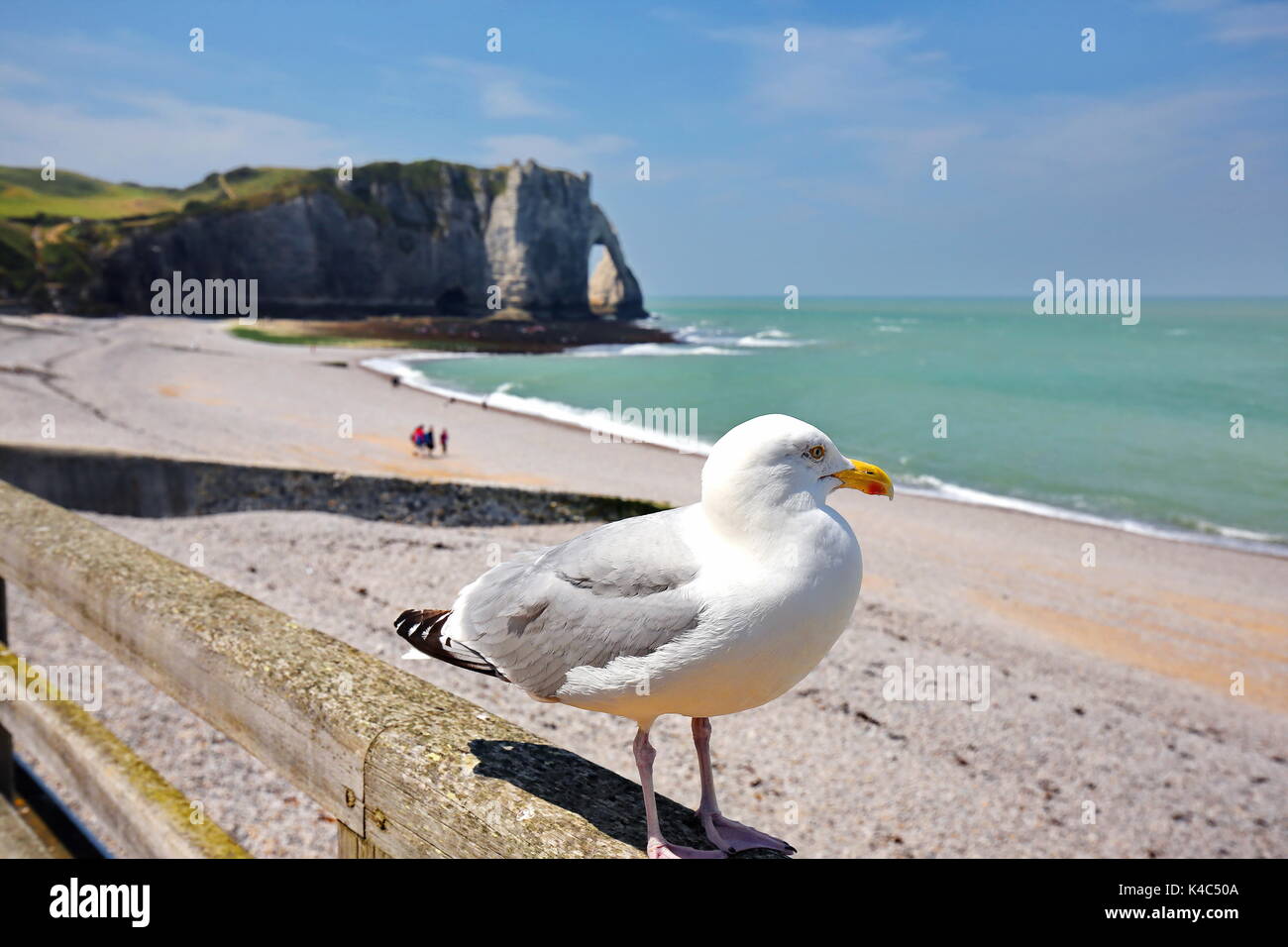 Beach Of Etretat Stock Photo - Alamy