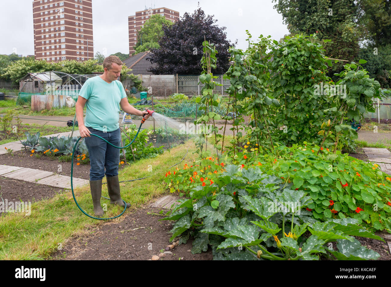 Using hosepipe hires stock photography and images Alamy