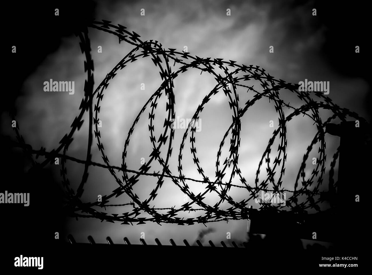 Protection, Security, Barbed Wire Stock Photo