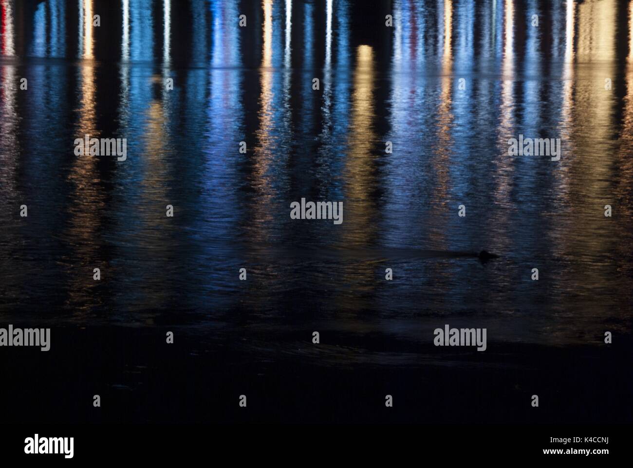 Hamburg Harbor Night Lights Stock Photo