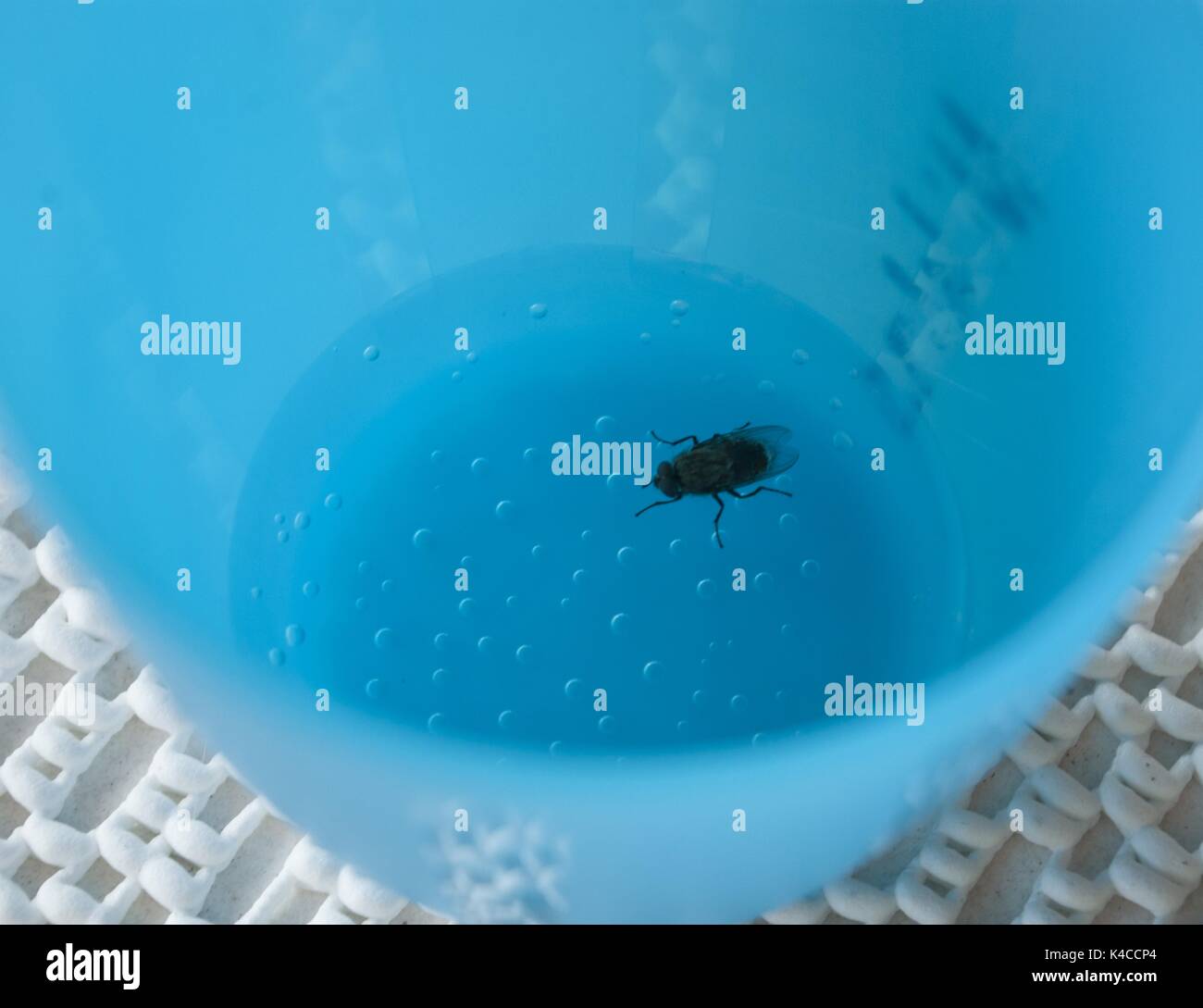 Mineral water bowl hires stock photography and images Alamy