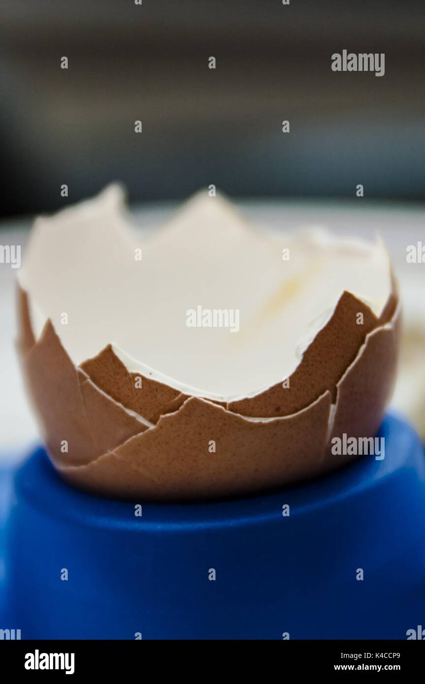 The Empty Eggshell Stock Photo