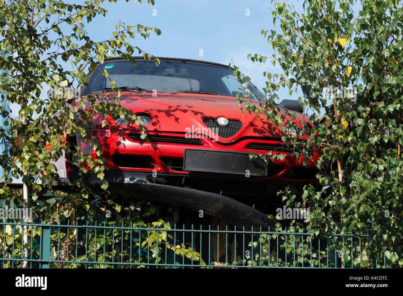 Alfa romeo on sale scrap yard