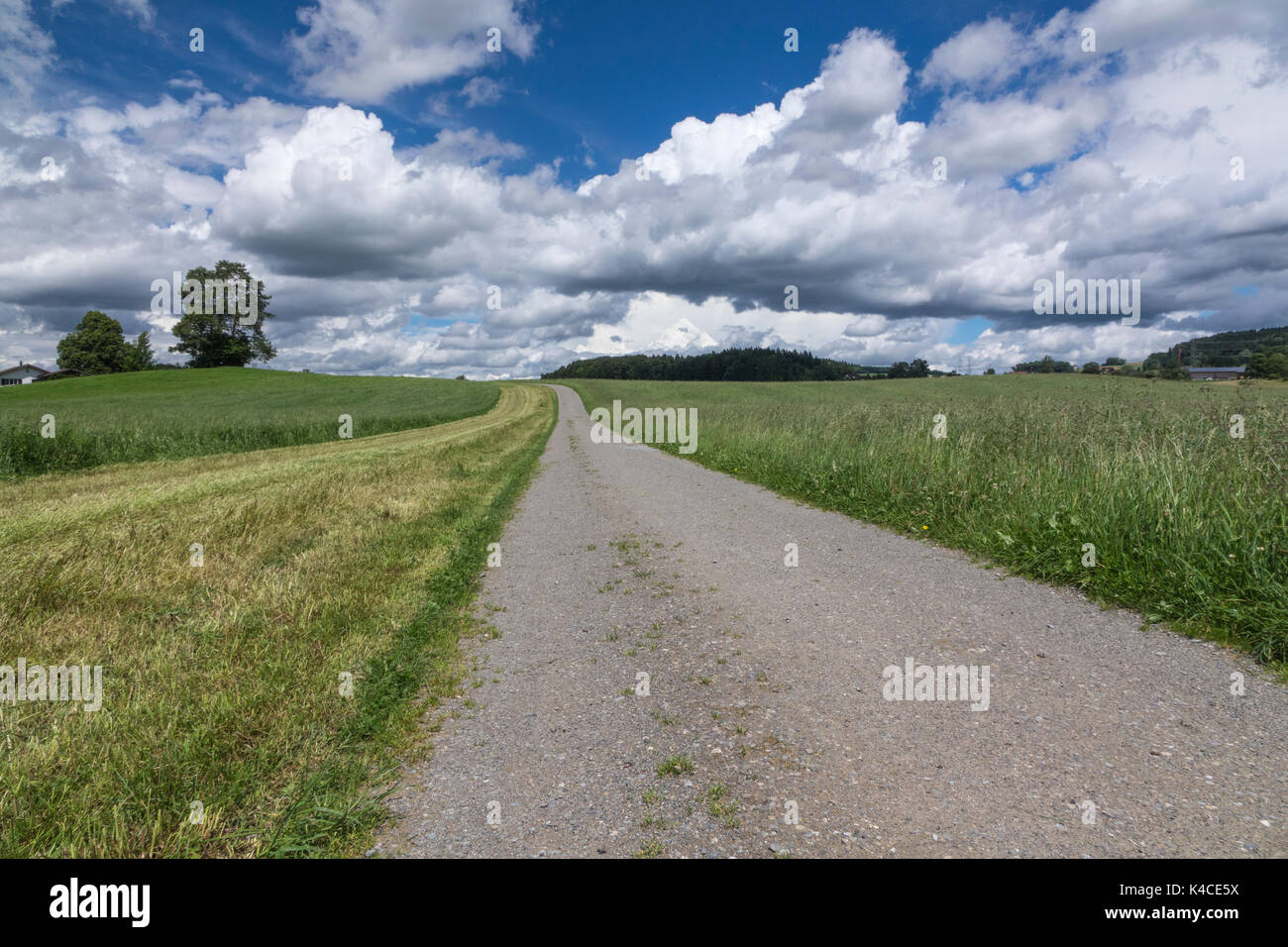 Dirt Road Between Meadows Narrows And Disappers On The Horizon. Blue Sky, Impressive Clouds Stock Photo