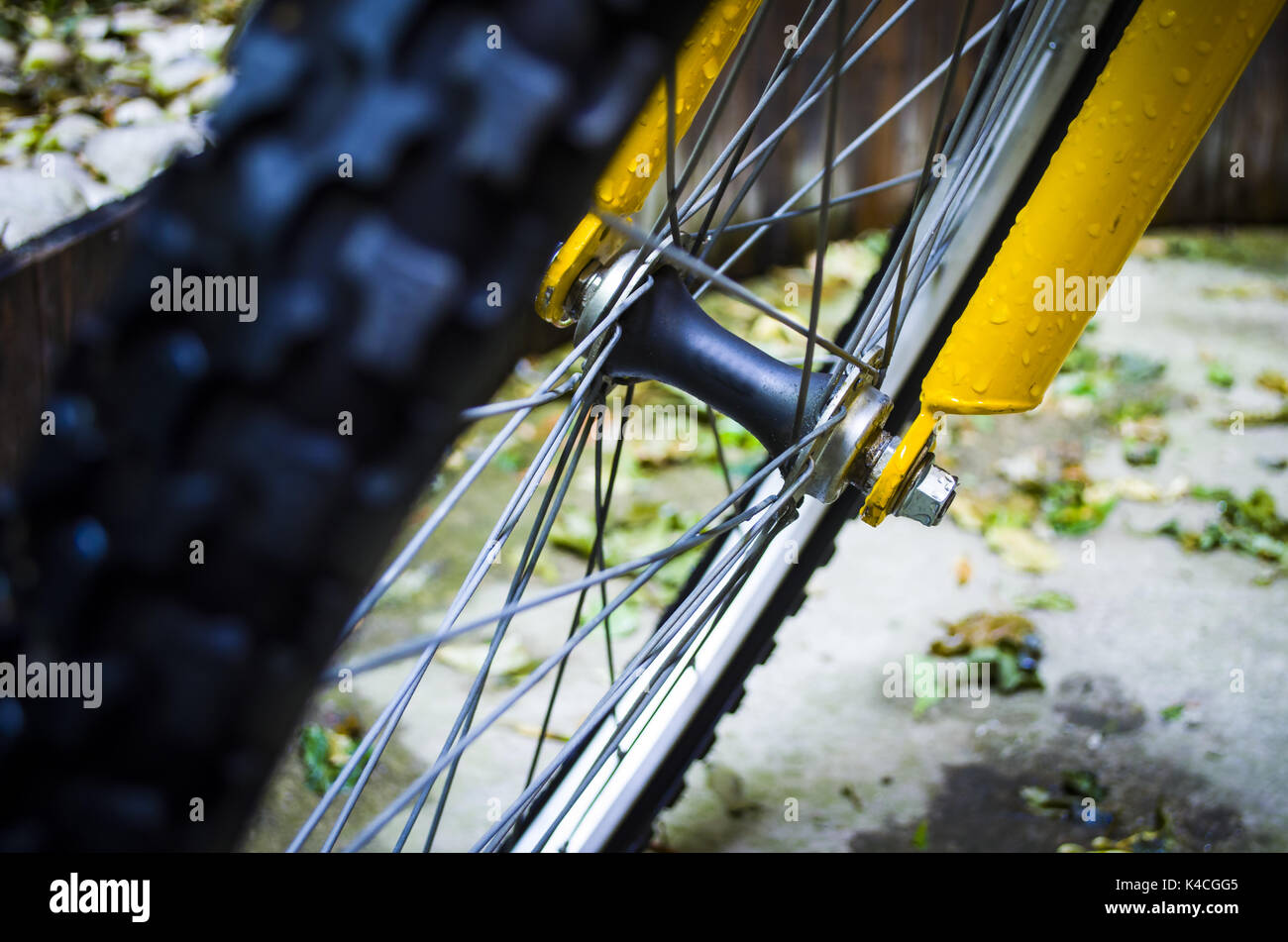 Bicyclist Stock Photo