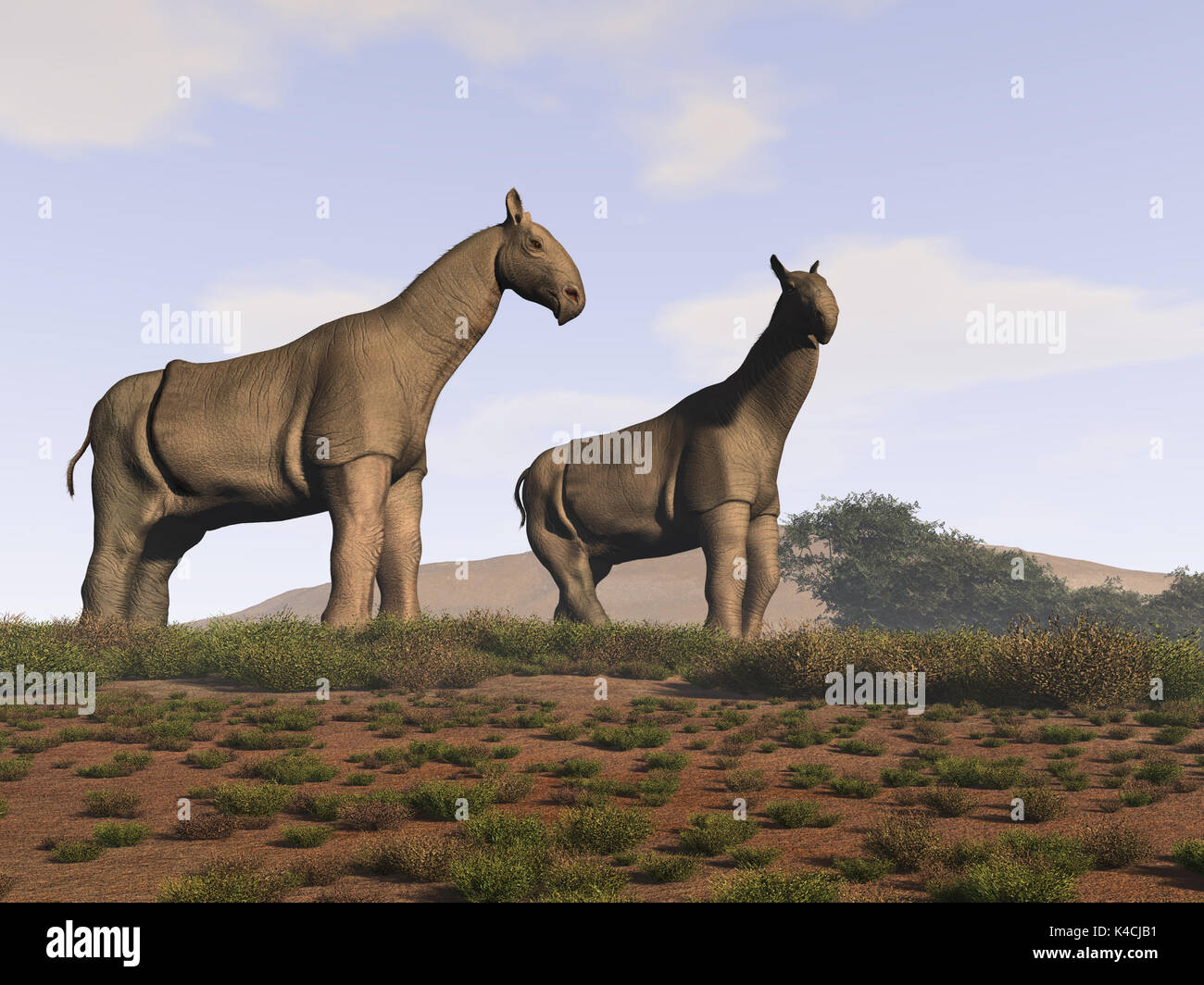 Two Indricotherium Stock Photo