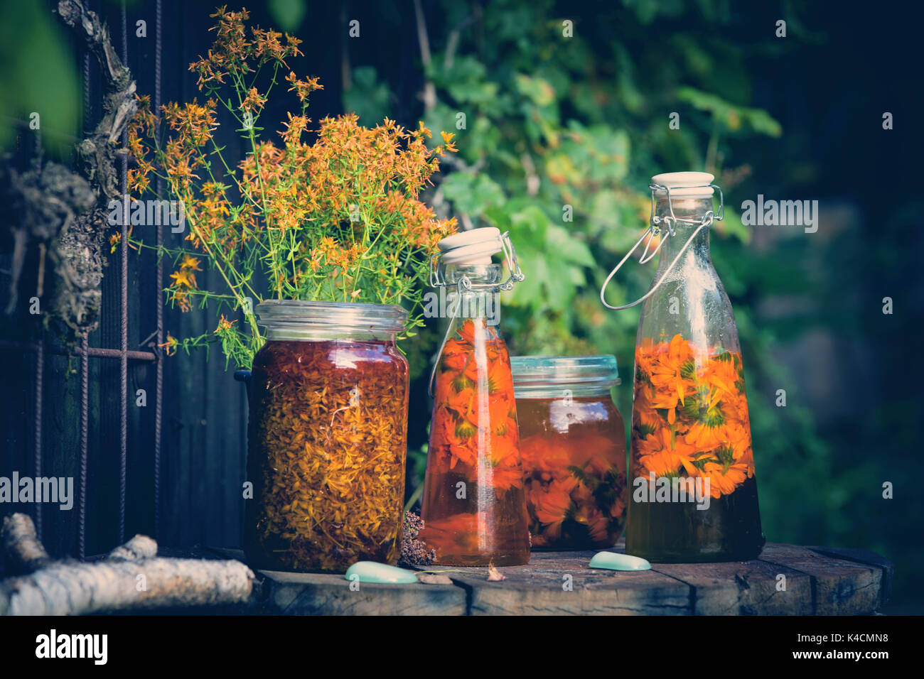 Manufacture Of Calendula Oil, Calendula Officinalis Stock Photo