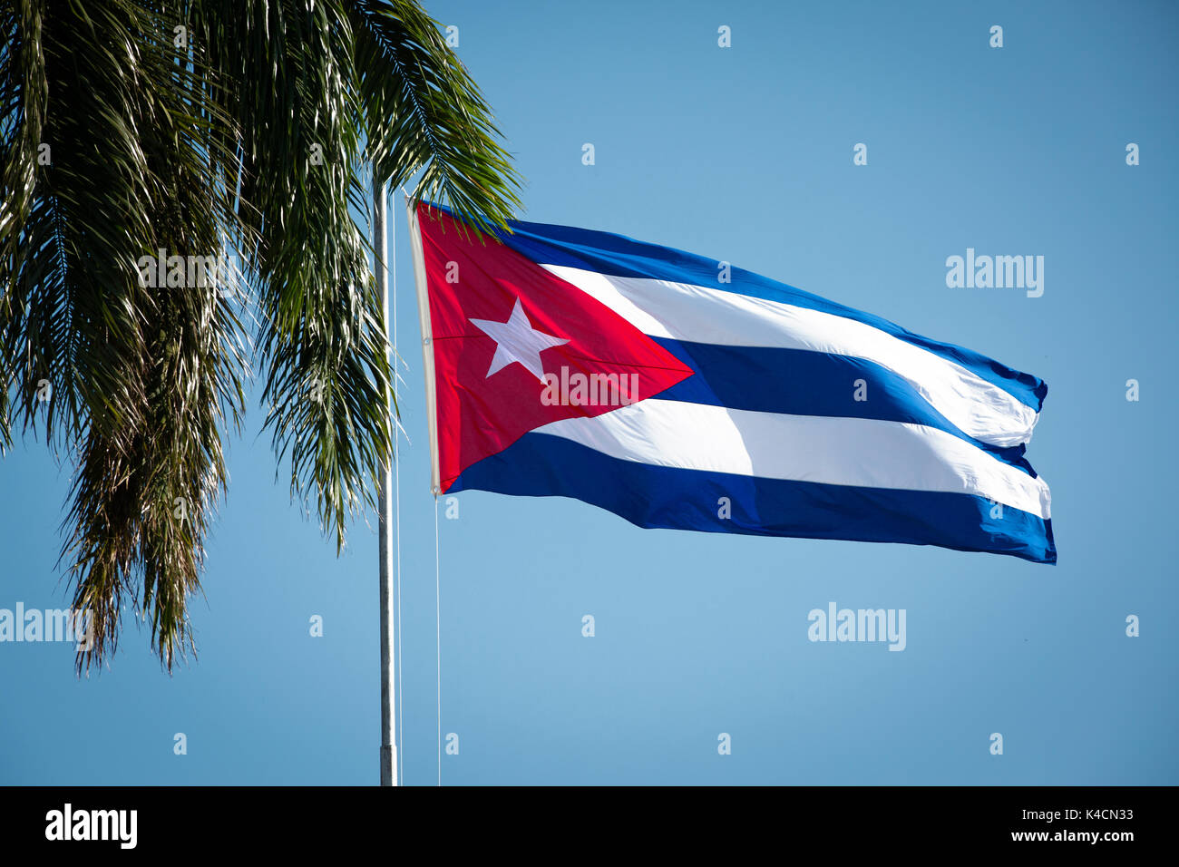 Palm Tree And Cuban Flag Against Blue Sky Stock Photo