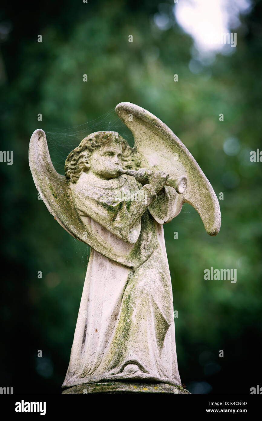 Angel, Faith, Church Stock Photo