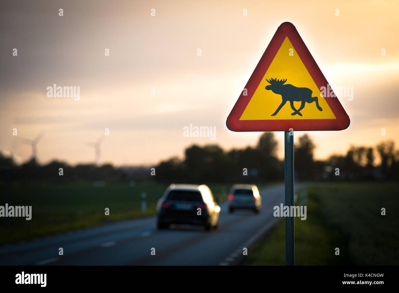 Warning Sign With Moose In Sweden Stock Photo