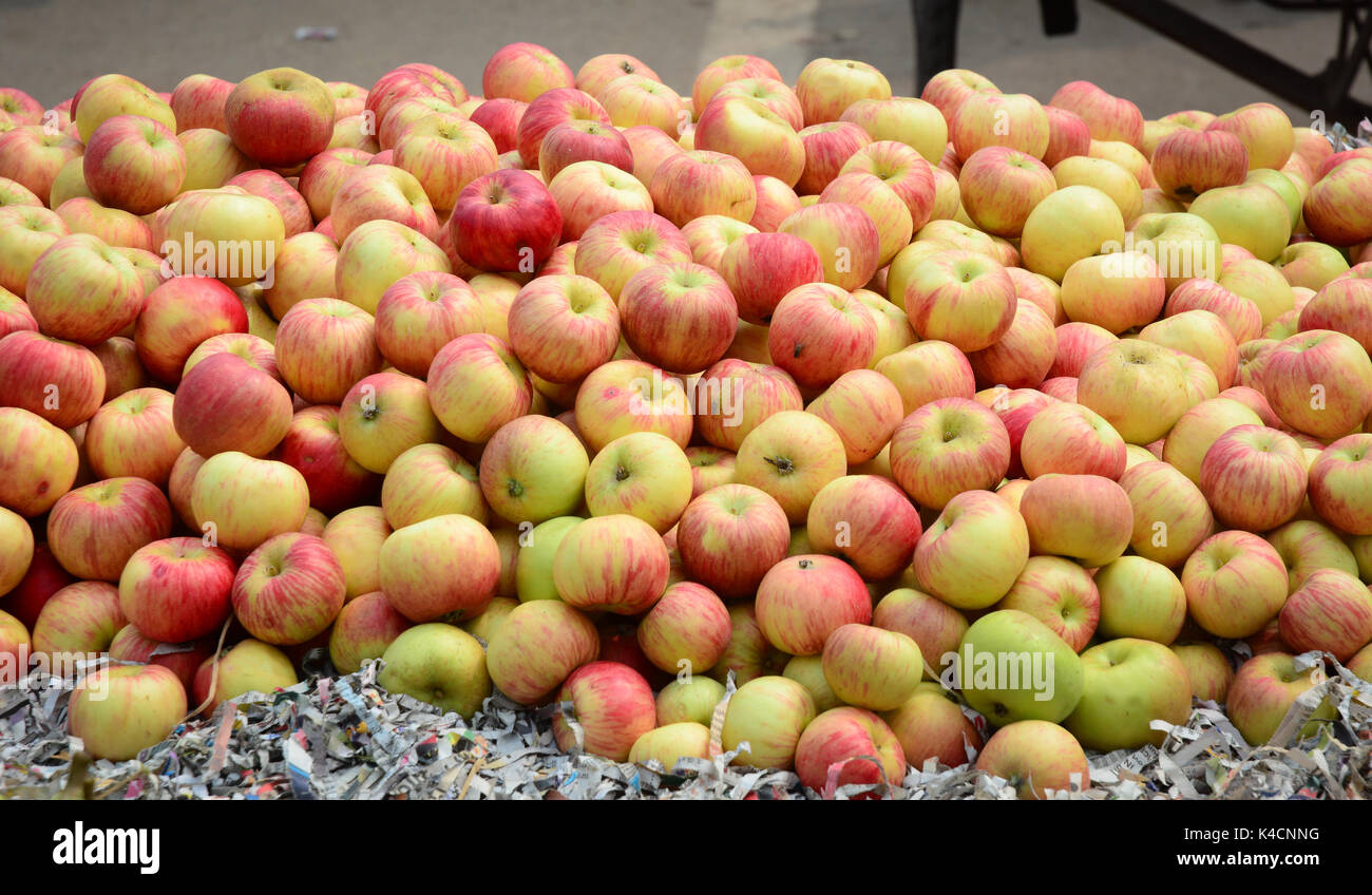 Fresh Apple Fruit, Indian