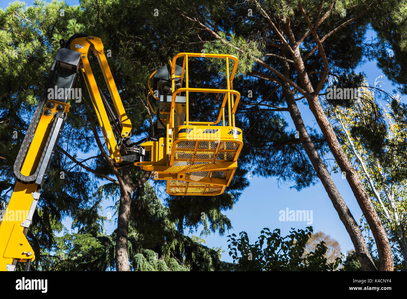yellow platform lift in the forest to prune trees Stock Photo