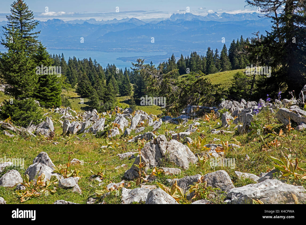 View from La Dôle, mountain of the Jura, canton of Vaud, overlooking Lake Geneva and Alpine mountain peaks of the Swiss Alps in Switzerland Stock Photo