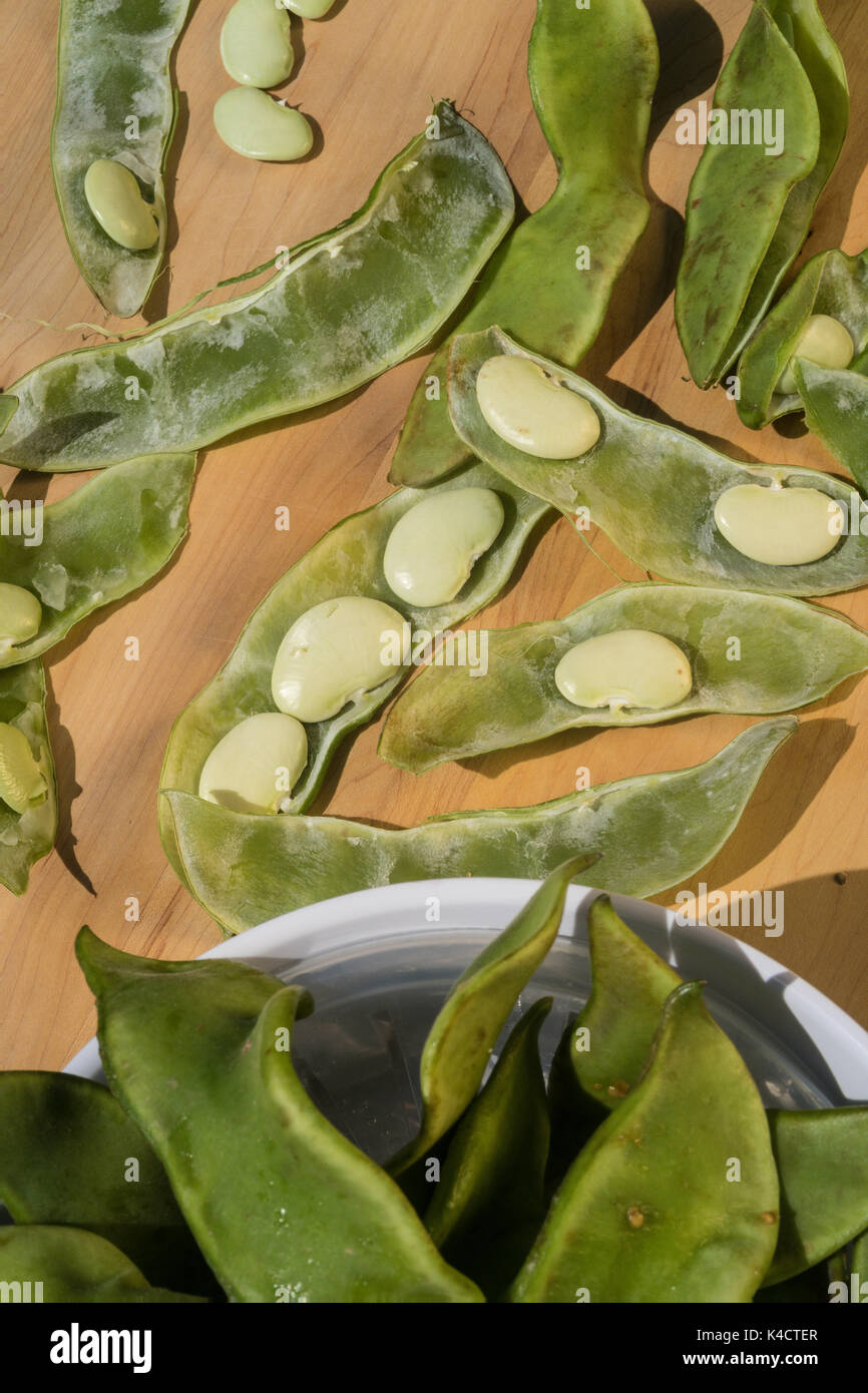 Lima bean farming hires stock photography and images Alamy