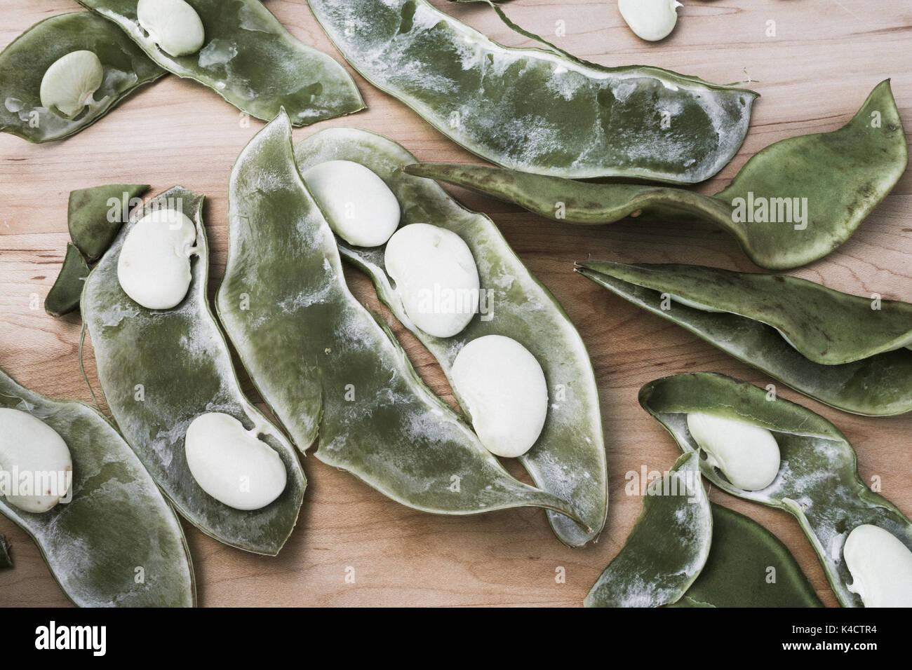 Fresh Dr. Martin Heirloom Lima Beans, USA Stock Photo Alamy