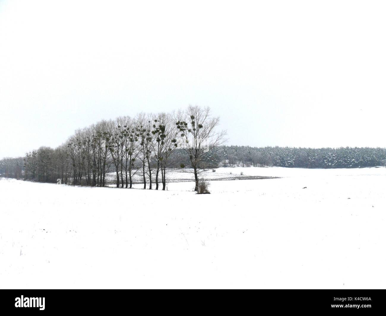 Wintry Landscape In Saxony Stock Photo
